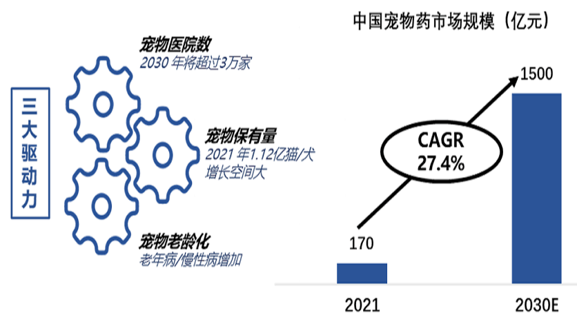 宝运莱·(中国区)有限公司官网